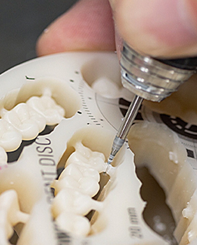 Vita Vionic Dent Disc MultiColor