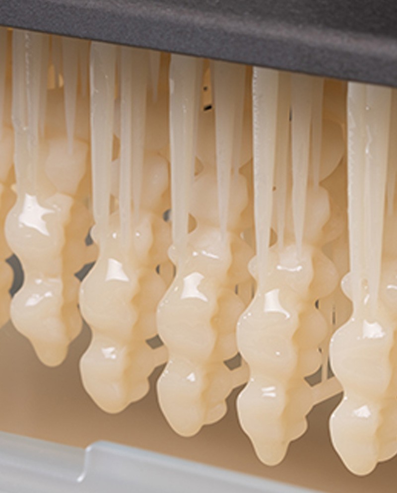 Vita Vionic Dent Resin