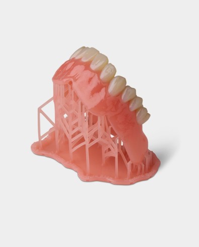 Denture Base Resin V2 (Form 4)